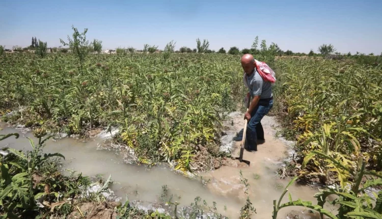 مديرية زراعة ريف دمشق مياه لجنة صرف صحي