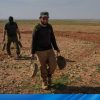 أكثر-من-ألف-قتيل-بمخلفات-الذخائر-غير -المتفجرة-منذ-سقوط-النظام