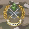الجيش اللبناني، تنظيم داعش،قسورة،أبو سعيد الشامي،لبنان،سوريا