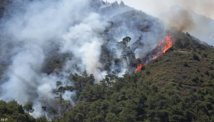 15 ألف هكتار محروقة في الساحل السوري: معركة مستمرة ضد النيران بمساعدة دولية