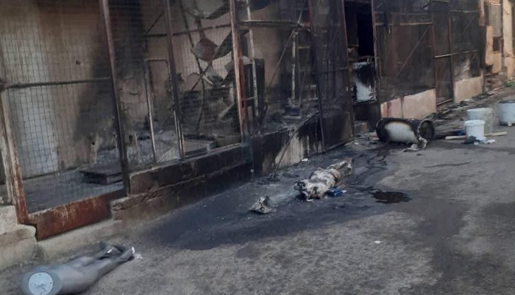 السويداء منكوبة