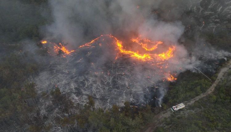 حرائق اللاذقية تستعر: تحديات وعرة وجهود إخماد مستمرة