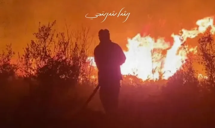 حرائق غابات اللاذقية الفنون السوريون رشا شربتجي روعة السعدي يارا قاسم سوسن ميخائيل نقابة الفنانين السوريين