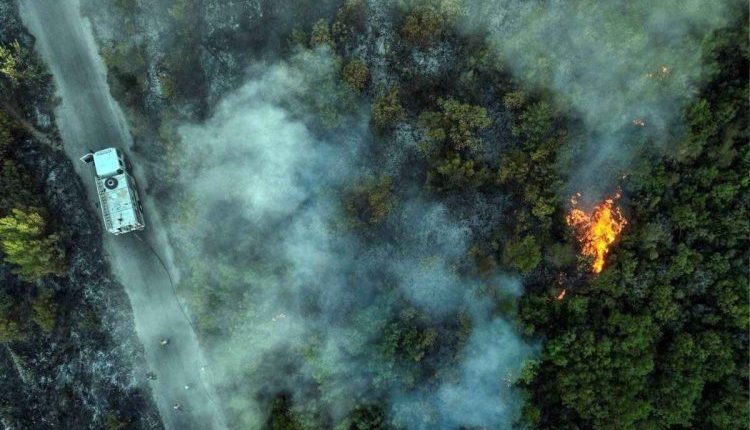 حرائق-غير-مسبوقة-في-سوريا-أكثر-من-3500-حريق-خلال-ثلاثة-أشهر