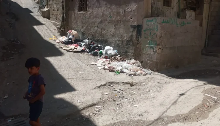 وادي المشاريع