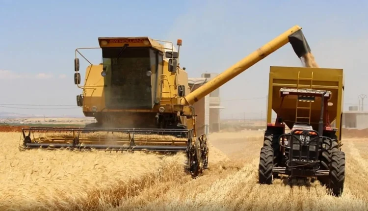 تشهد سوريا أزمة غذائية متصاعدة، وسط أسوأ جفاف منذ عام 1989، حيث يشير تقرير وكالة "رويترز" إلى تراجع إنتاج القمح بنسبة تقارب 40% هذا الموسم،