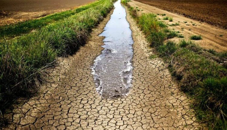 الجفاف الحرائق خبير سوري عن مشروعين جاهزين منذ 2009 يمكن أن يحلّا أزمة الجفاف في دمشق ويحدّا من الحرائق التي تتكرر في الغابات في الساحل وسهل الغاب