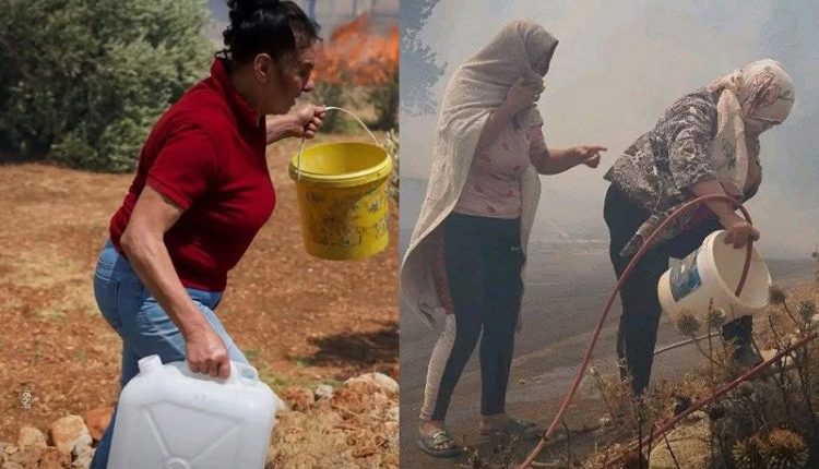 أعلن وزير الطوارئ، رائد الصالح، السيطرة الكاملة على حرائق الغابات والأحراج في ريف حماة الغربي بعد إخمادها وتبريدها بشكل نهائي