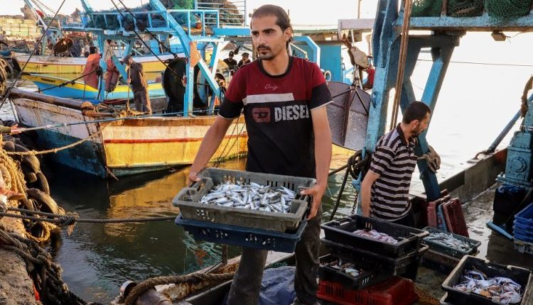 شهدت مناطق ريف اللاذقية السورية خسائر كبيرة في قطاع تربية الأسماك نتيجة موجة حر شديدة اجتاحت البلاد مؤخراً،