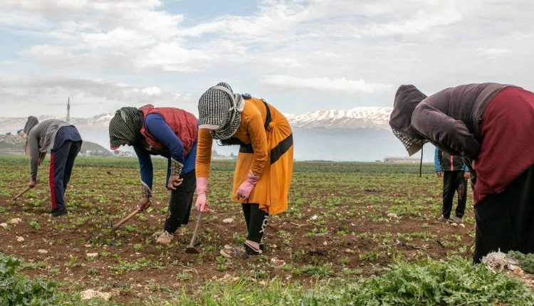 تغير المناخ والنزاع يعمّقان هشاشة النساء في سوريا: أعباء بيئية واقتصادية وصحية