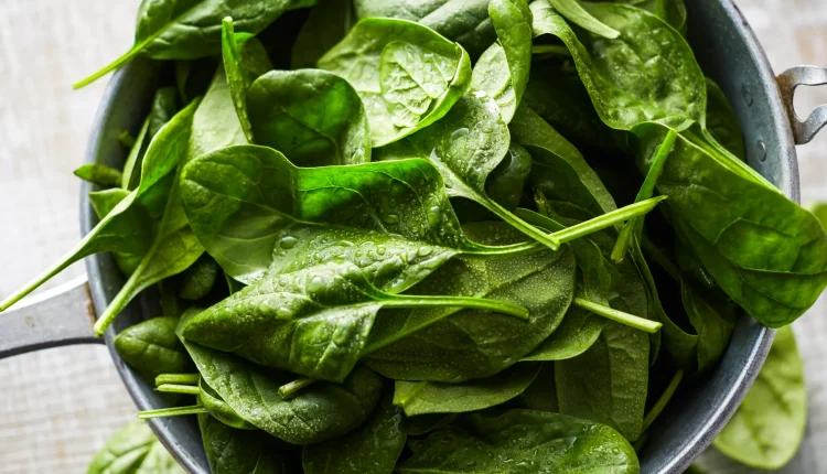 ودّع المكملات الغذائية! 5 أطعمة طبيعية تغنيك عن الفيتامينات 🥑🥕