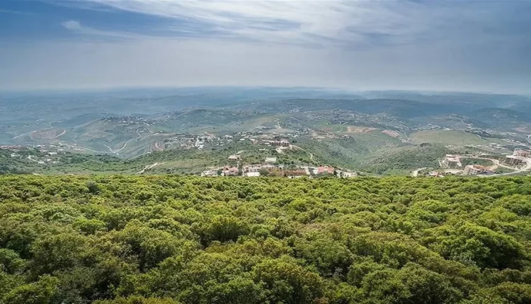 طقس سوريا مشمس وموجة حر