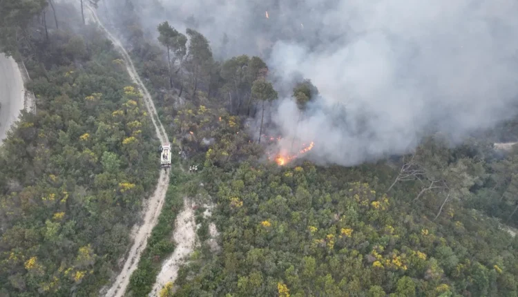 حرائق ريف اللاذقية مستمرة لليوم الثالث على التوالي صعوبات ووعرة التضاريس الدفاع المدني السوري ألغام تعيق جهود الإطفاء