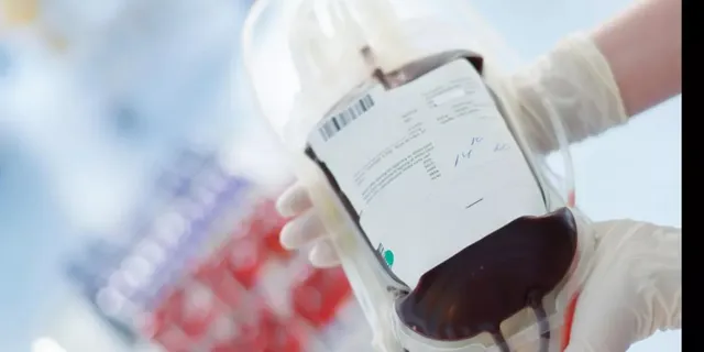 القامشلي بلا بنك دم منذ أكثر من عشرات سنوات شمال شرق سوريا المخاطر الصحية