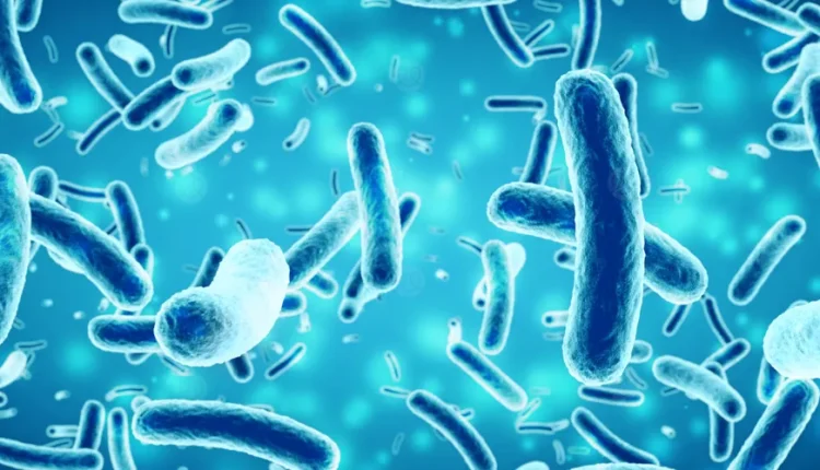 بكتيريا-الأمعاء-المتهم-الخفي-في-أمراض-الكبد-والسرطان