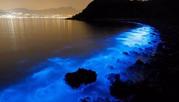 البحر-المتوهج-لغز-البحّارة-القدامى-يُرى-اليوم-من-الفضاء