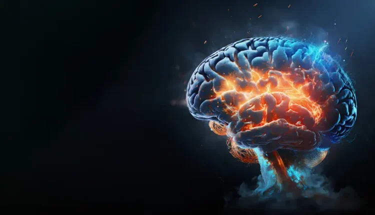 دراسة-ألمانية-رائدة-تكشف-سر-التركيز-إيقاعات-الدماغ