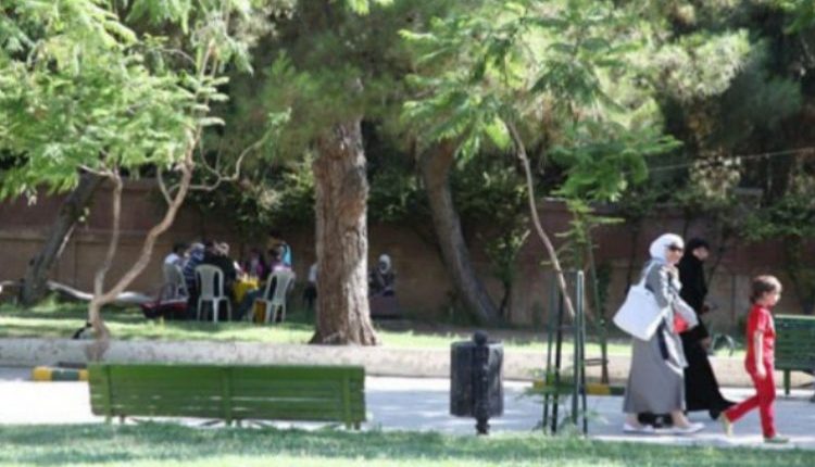 تشهد منطقة المزة في دمشق حالة من الغضب الشعبي بعد بدء عمليات قطع أشجار حديقة الجلاء، التي تُعدّ من آخر المساحات الخضراء المتبقية