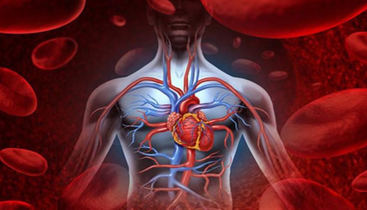 5-أطعمة-تساعد-على-تنظيف-الشرايين-وتحسين-الدورة-الدموية.