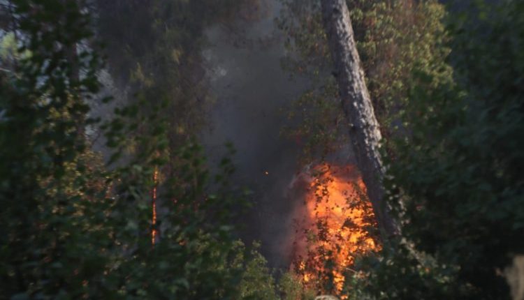 أعلن الدفاع المدني السوري السيطرة الكاملة على حريق اندلع في قلعة صلاح الدين الأثرية والأحراج المحيطة بها في منطقة الحفة بريف اللاذقية.