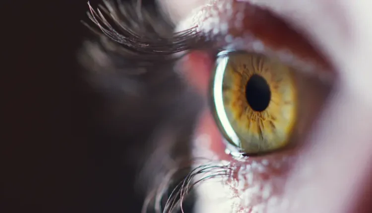 تقنية-تصوير-مزدوجة-خارقة-تكشف-سر-الأكسجين-في-شبكية العين.