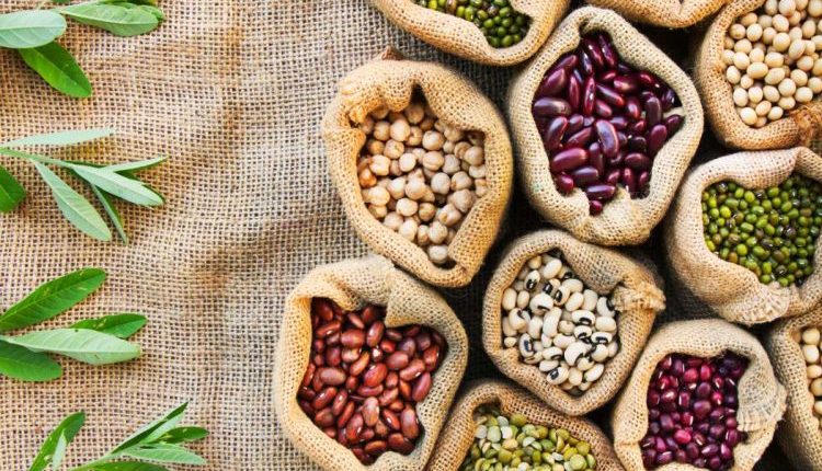 الفاصولياء-على-المائدة-يومياً-مفتاحك-لصحة-القلب-والجهاز-الهضمي.