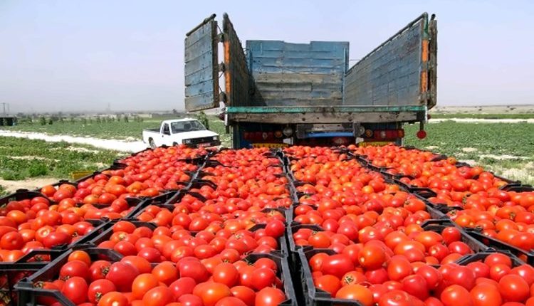 المنتجات الزراعية