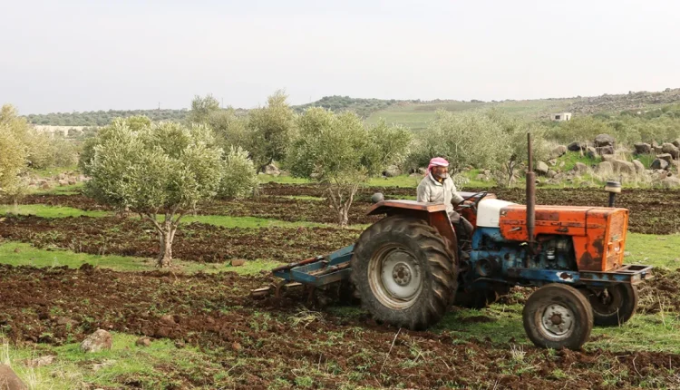 مع تراجع مستويات الهطول المطري وامتداد تأثيرات موجات الجفاف الأخيرة، يقف القطاع الزراعي في محافظة حلب على مفترق طرق حاسم