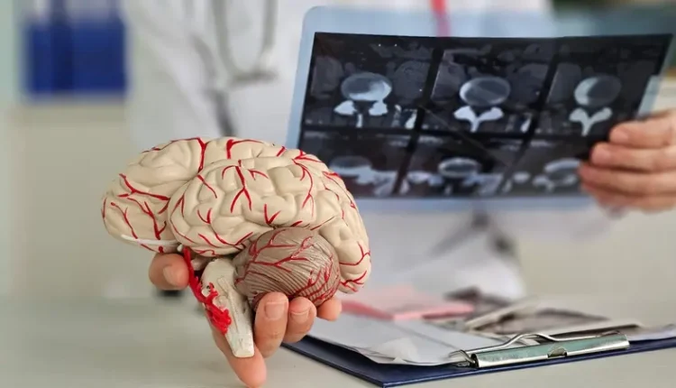 3-مفاتيح-ذهبية-لتجديد-دماغك-كيف-تحفز-نمو-الخلايا-العصبية-وتحسن-ذاكرتك.