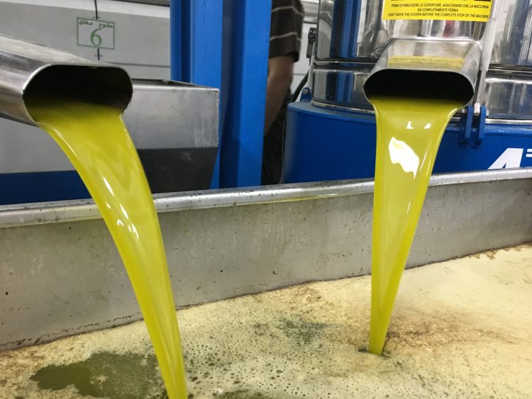 قال وزير الزراعة السوري إن خيار استيراد زيت الزيتون مطروح قيد الدراسة في حال ارتفاع أسعاره في الأسواق المحلية أو انخفاض كمياته المتوفرة