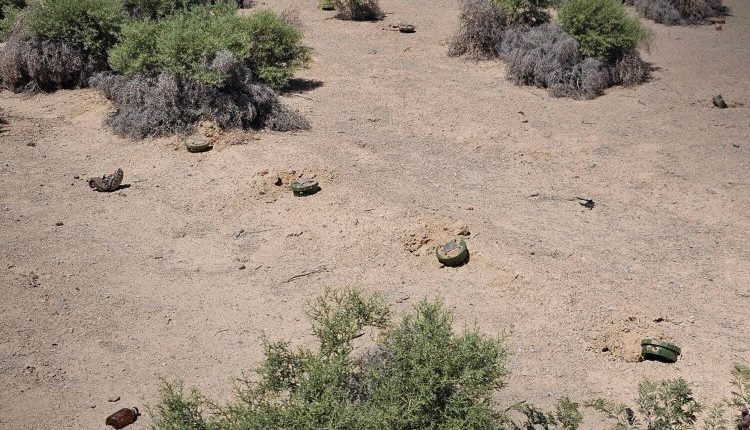 سجّل عدد ضحايا الألغام ومخلّفات الحرب في سوريا أعلى مستوى له منذ خمس سنوات، رغم انتهاء الأعمال العسكرية وسقوط نظام بشار الأسد