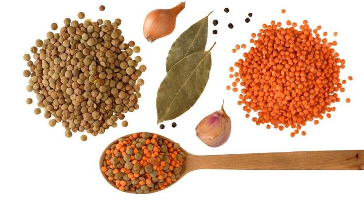 العدس ومرض فقر الدم.. أيهما ينتصر لمخزون الحديد في جسمك؟