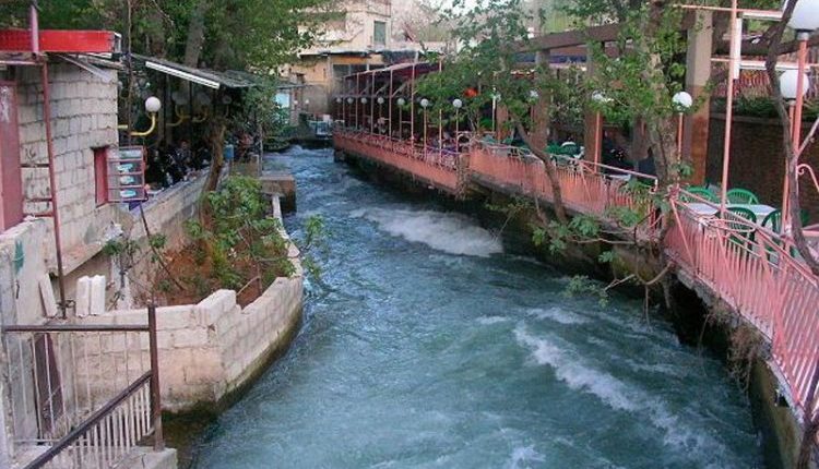 أثار تعميم صادر عن رئيس بلدية وادي بردى في ريف دمشق موجة واسعة من الجدل بعد أن فرض على أصحاب المطاعم منع استقبال الوفود السياحية المختلطة