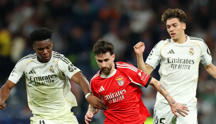 ريال مدريد يُجدد تفوقه على بنفيكا في البرنابيو تشواميني دوري أبطال أوروبا