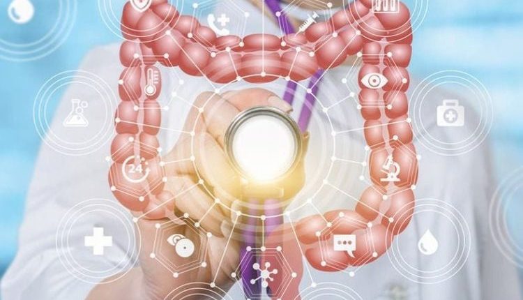 حليفك-الخفي-ضد-الزمن-كيف-تمنح-جهازك-الهضمي-قبلة-الحياة-وتستعيد-شبابك