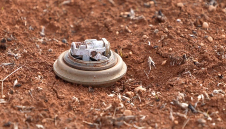 لا تزال مخلفات الحرب تشكل "القاتل الصامت" الذي ينهش أجساد السوريين، محولةً الأراضي الزراعية ومناطق رعي الأغنام إلى حقول للموت.