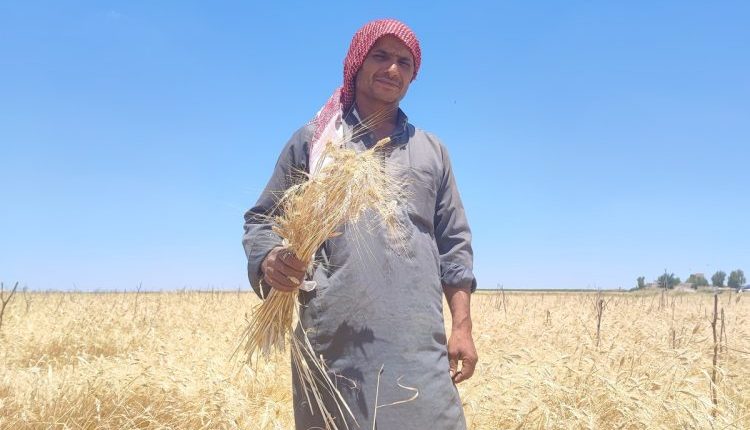 على الرغم من امتلاك منطقة الجزيرة السورية لأكبر مخزونات الثروات الباطنية والزراعية في البلاد، إلا أن سكانها يواجهون واقعاً معيشياً كارثياً.