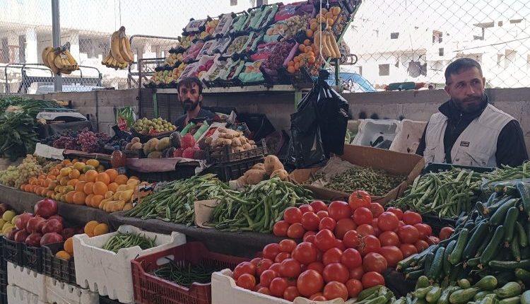 أسعار الخضار أسواق درعا حالة من التباين الحاد في أسعار المنتجات الزراعية؛ فبينما قفزت أسعار الخضار المستوردة، لا تزال أسعار المنتجات المحلية منخفضة