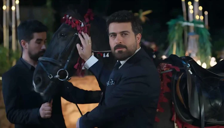 مسلسل ليل