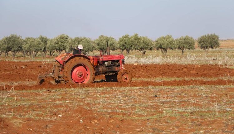 بين الجفاف والنزوح وفائض العمالة.. عمال الزراعة في درعا عالقون في دائرة الفقر والانتظار