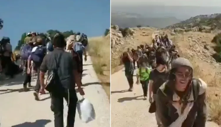 حركة رواد الباشان جنوب سوريا جبل الشيخ