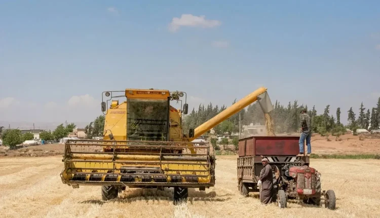 عاد إنتاج نحو 2.7 مليون طن من القمح ملف الاكتفاء الذاتي والأمن الغذائي في سوريا إلى الواجهة، بعدما تجاوزت الكميات التي اشترتها المؤسسة