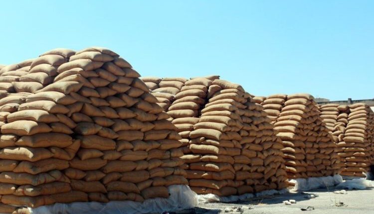مستحقات القمح في سوريا تتأخر.. الفلاح يدخل الموسم الجديد بلا ثمن محصوله