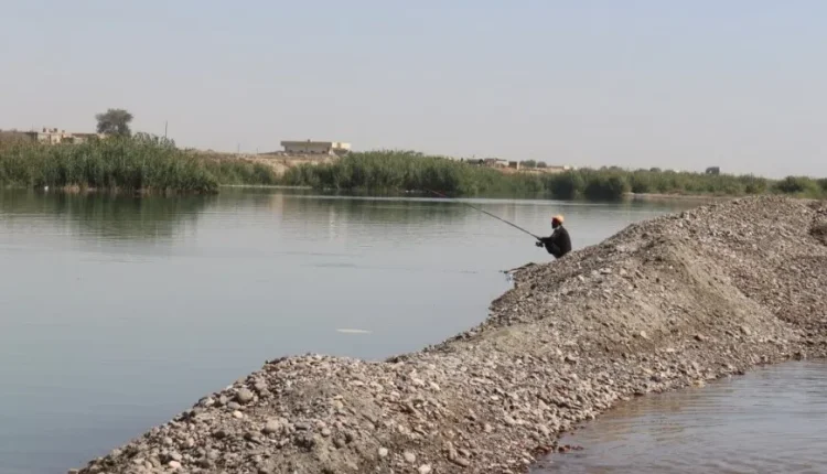 الصيد الجائر يستنزف أسماك الفرات في الرقة.. رقابة غائبة ونهر يفقد ثروته