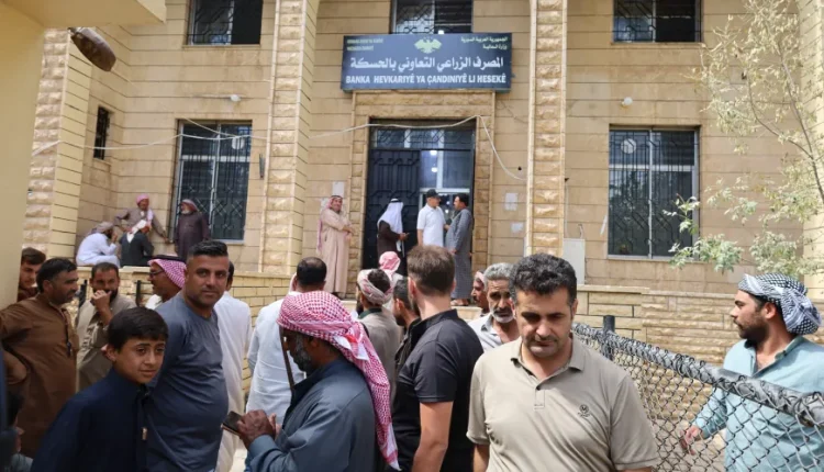 مزارعو الحسكة ينتظرون مستحقات القمح منذ أشهر.. نقص السيولة يهدد الموسم الزراعي الجديد