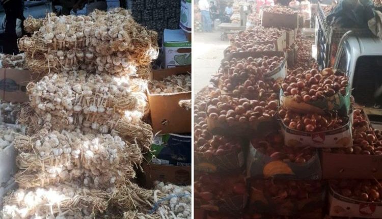 يطالب مزارعو الثوم والبصل بتمديد منع الاستيراد شهرين إضافيين وفتح باب التصدير، في ظل فائض الإنتاج وتراجع الأسعار وارتفاع تكاليف الزراعة.